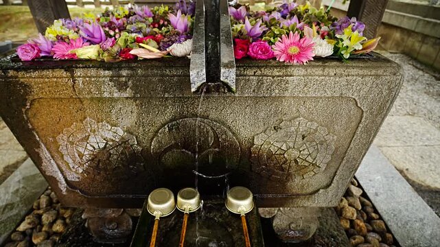 Beautiful Hanachozu Decorative Flower Basin at Japanese Shrine Water Ablution Pavilion - 日本 神社の手水舎に浮かぶ華やかな花手水 日本の伝統文化と四季の彩りを映す水鉢