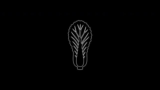 Chinese cabbage continuous line drawing animation