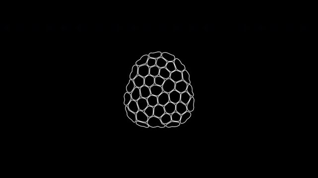 Hand drawn animated blackberry appearing on black background