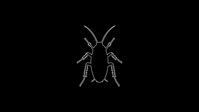 Cockroach insect pest control drawing animation