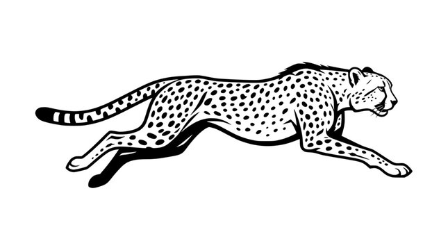 Cheetah Running Silhouette Vector Illustration