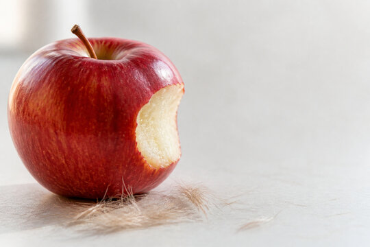 Ripe red apple with bite mark and wisps of fawn fur, safe and responsible food concept.