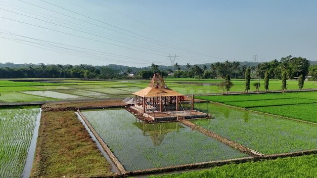 Aerial view of a traditional Javanese Joglo house under construction amidst lush green rice paddies with power lines in the background in Kecamatan Tingkir, Jawa Tengah, Indonesia.