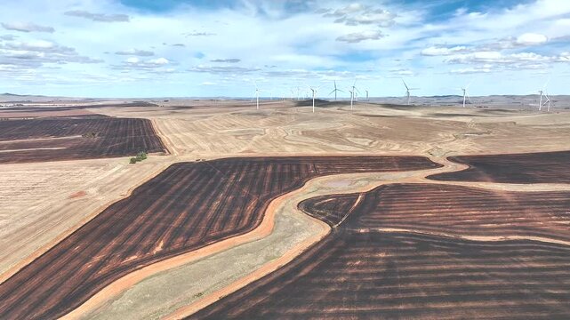 Aerial view of wind farm over agricultural fields with dark soil and golden crops in Burra, South Australia, Australia.