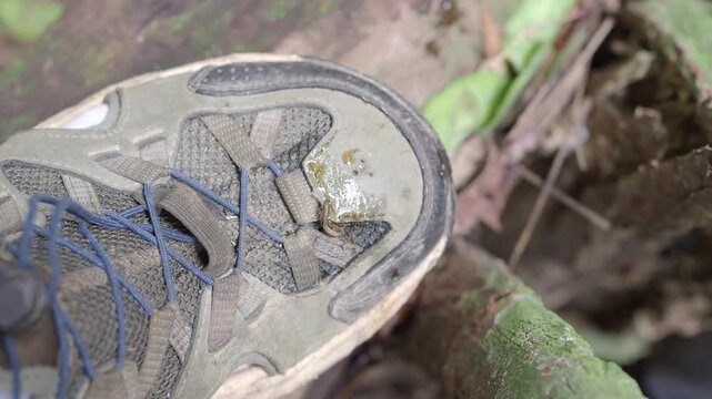 Land leech on a men hiking sandal the upper is made of olive green mesh.