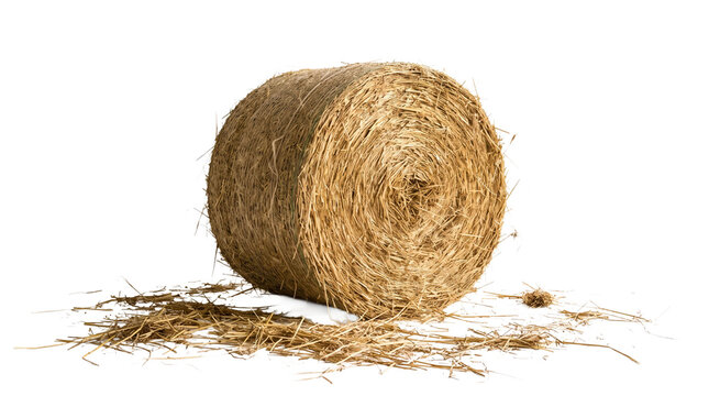 roll of straw ,isolated on transparent background png