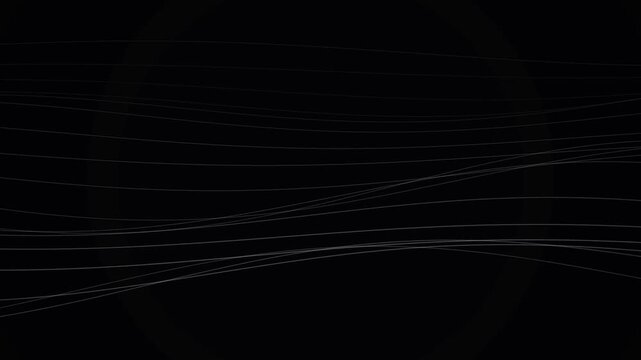 Abstract White Wavy Lines on Black Background Video Loop