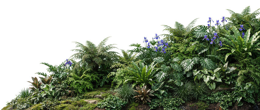 tropical plants in the foreground on a transparent background