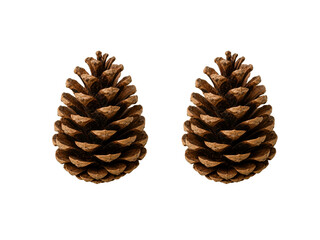 Fototapeta premium pine cone isolated on white background png