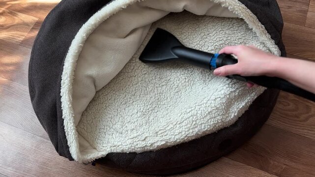 Vacuum cleaner attachment removing pet fur from the soft fabric pet bed. Concept of cleaning, hygiene, shedding, household maintenance and keeping a dog or cat sleeping area fresh and clean