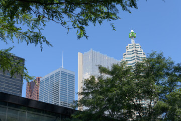 Fototapeta premium skyward view of rooflines in the financial district, Toronto (l to r) TD-Centre, Scotia Plaza, Commerce Court West, Royal Bank Plaza, TD Place/Brookfield Place)