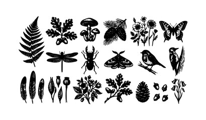Obraz premium Vintage Natural History Botanical Wildlife Engraved Vector Collection with Forest Plants Birds and Insects