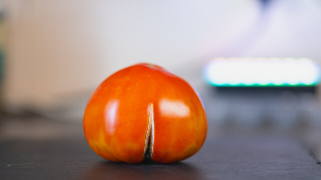 Ugly ripe red tomato with funny unusual split shape on dark slate board, imperfect organic fresh vegetable for food waste prevention concept, healthy homegrown agriculture design backdrop.