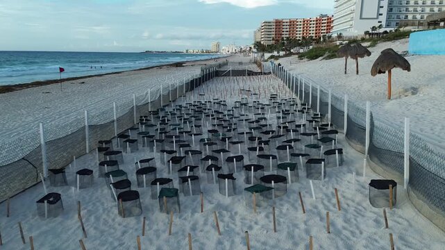 Turtle farm, turtle nest at Playa Delfines in Canc&uacute;n, Quintana Roo, Mexico; drone shot at sunrise.