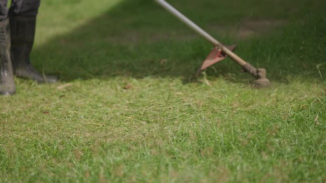Worker trims grass with powered garden equipment in a residential outdoor area, illustrating landscaping service, seasonal yard work, garden maintenance, and routine property care.