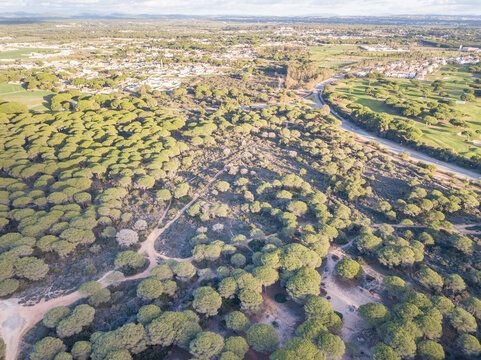 The recreation park Pinar de la Barrosa in Chiclana de la Frontera, Spain, drone photo

