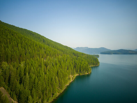 Lush green forest lines calm blue lake. Mountain slopes rise gently beside water. Clear sky stretches above serene landscape. Faint distant peaks complete tranquil view