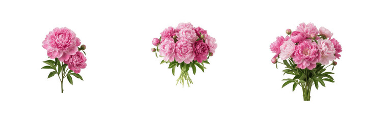 Fototapeta premium Pink peony bouquet flower arrangement with green leaves isolated on white background for floral design and wedding decoration concepts