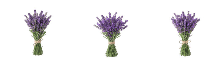 Obraz premium Lavender Flower Bouquets PNG Clipart, Purple Dried French Lavender Bundles Tied with Jute Twine Cord, Rustic Floral Design Element Set for Wedding Invitation Card, Scrapbooking, Sublimation Transparen
