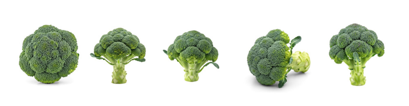 Collection of heads of broccoli are arranged in a row on a transparent background. The broccoli heads vary in size and stage of development, showcasing the growth process.