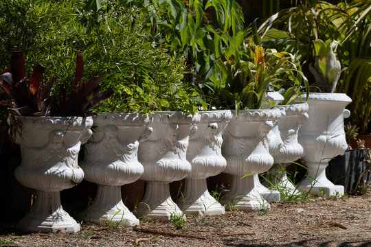 White ornate garden urns displaying green plants and bromeliads