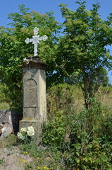 Przydrożna kapliczka z figurą Matki Bożej wśród drzew © Ewa