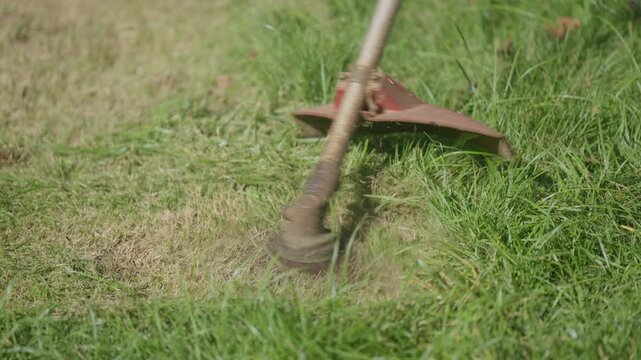 Homeowner operates a string trimmer to maintain a green lawn, representing weekend yard work, residential landscaping, gardening, outdoor chores, grass trimming, and property maintenance.
