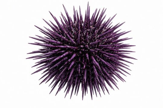 Purple spiky ball isolated on white background. Abstract geometric texture for modern design and creative projects.