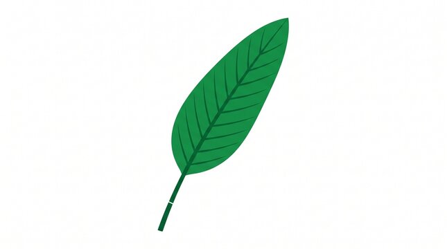 Flat vector icon of a long green leaf with smooth edges and central vein. Clean design on white background. Symbol for nature, plants, and eco-friendly themes.