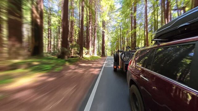 A teardrop camper trailer is pulled by an SUV along a road in Navarro River Redwood State Park while giant redwood trees surround the area.