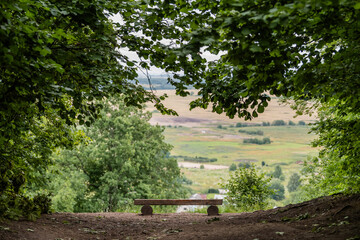 Obraz premium Wooden bench on the edge of a cliff overlooking a valley. Peaceful forest viewpoint with scenic rural landscape.