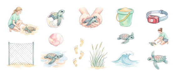 Fototapeta premium Sea turtle conservation watercolor set featuring baby hatchling rescue, environmental volunteer care, ocean wildlife protection elements, isolated beach nesting clipart for marine ecology design.