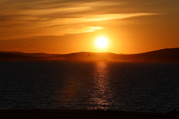Obraz premium sunset over the sea with seagull 