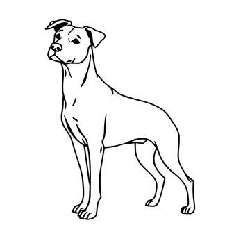Dog black line art set with simple contour drawing featuring isolated silhouette on white background and minimalist vector illustration
