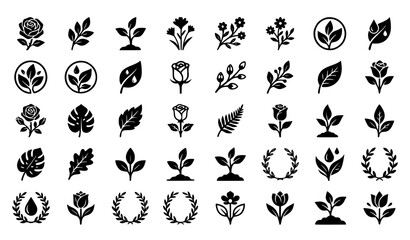 Fototapeta premium Rose Leaf Sprout Plant Vector Icon Collection