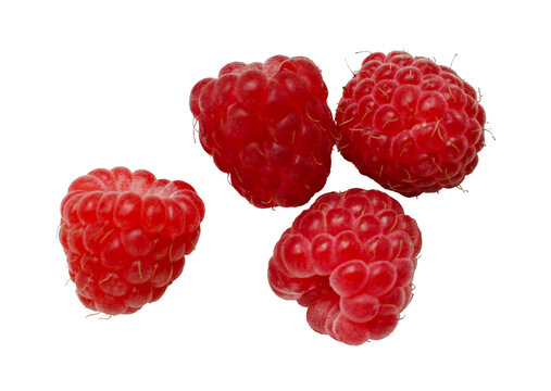 delicious organic red raspberries isolated on white background