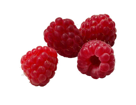 delicious organic red raspberries isolated on white background