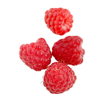 delicious organic red raspberries isolated on white background