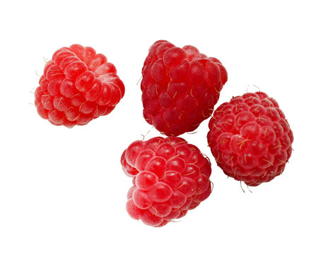 delicious organic red raspberries isolated on white background