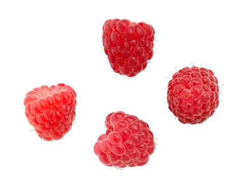 delicious organic red raspberries isolated on white background