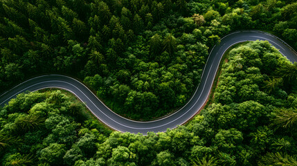 Obraz premium Scenic aerial forest routes highlighting climate resilience, sustainable transportation, the Renewable Energy Transition, environmental management, a green economy, and long-term responsible corporate