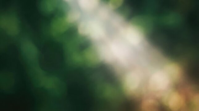 A serene blurred forest background with soft natural light rays perfect for creating peaceful designs and calming visuals for the upcoming world mental health day event