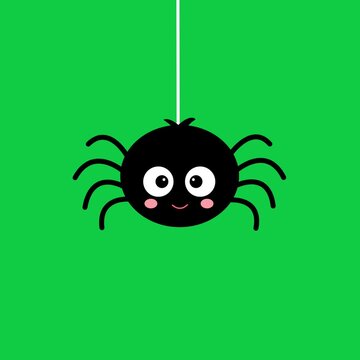 cute spider hanging on a web repeating animation