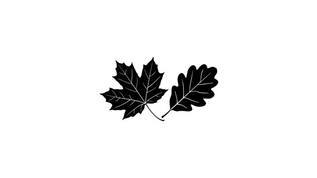 Black Maple And Oak Leaves Pair Autumn Fall Silhouette Icon Isolated On White Background
