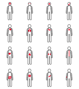 Human anatomy icon set of 16 full body pictograms with organs marked in red on white outlines
