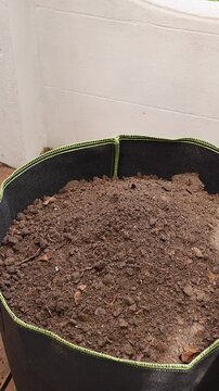 Vertical video. Woman Pours More Dark Soil from a White Bag into a Large Fabric Pot, Filling the Container with Fertile Substrate for Home Gardening