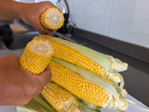 A man's hands break a fresh ear of corn in the kitchen. The process of husking and preparing fresh, ripe corn at home.