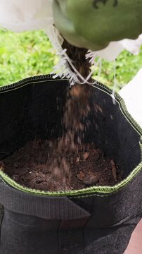 Vertical video. Woman Pours Dark Soil from a White Bag into a Black Fabric Pot, Preparing a Growing Container beside Young Seedlings in a Tropical Garden