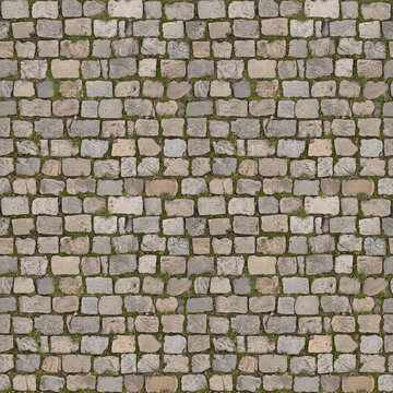 Cobblestone Street Pavement with Moss Texture Background

Descripci&oacute;n
High-resolution texture background featuring vintage grey cobblestone street pavement with small green moss and grass growing betw
