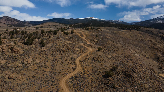 Aerial view of a winding dirt road cutting through the rugged, arid landscape of the Rocky Mountains with scattered pine trees and snow-capped peaks, Granite, Colorado, United States.